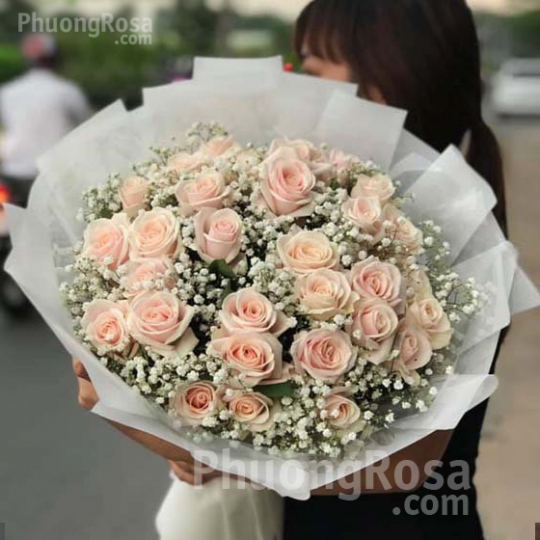 Hoa Hồng Pastel Cao Cấp Nhập Khẩu Hà Lan