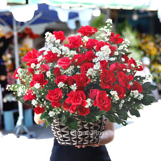 Hoa SN tình yêu màu nắng