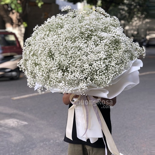 SN103 Bi nhập khẩu