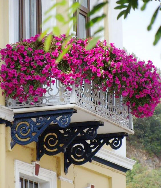 Ban công ngập tràn hoa
