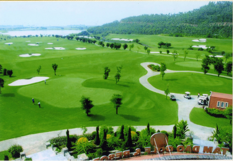 sân golf cỏ nhung