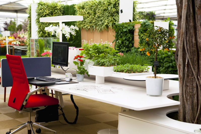 Cây xanh tăng tính thẩm mỹ của văn phòng