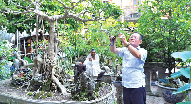 thú chơi cây xanh của người già