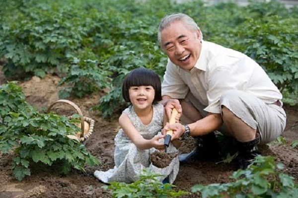 cụ già hạnh phúc khi trồng cây