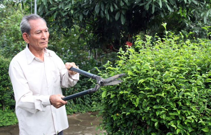 cụ già chăm sóc cây xanh