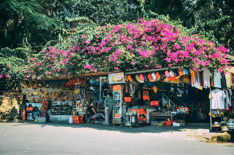 căn nhà hoa giấy