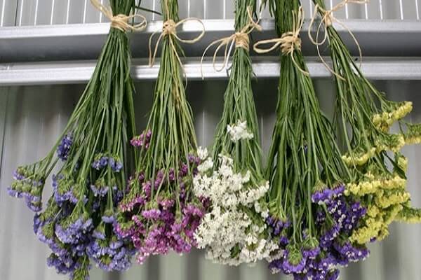 treo hoa làm hoa khô