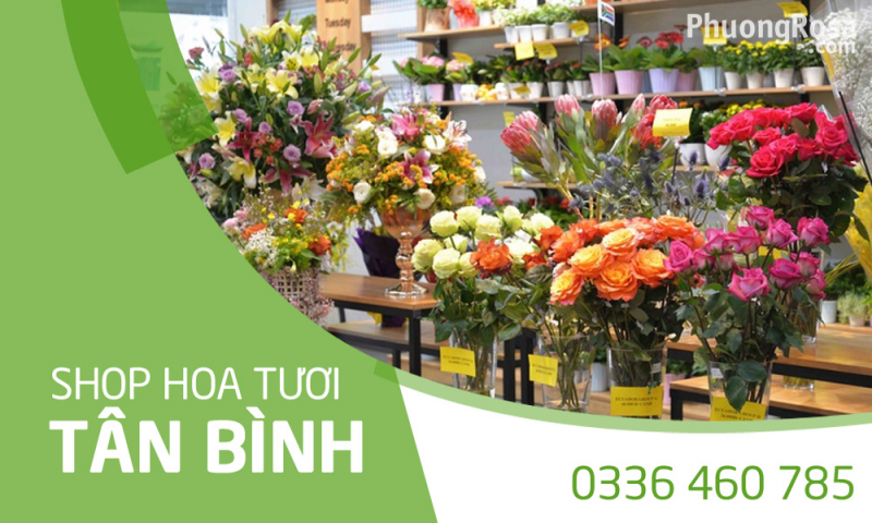 shop hoa tân bình