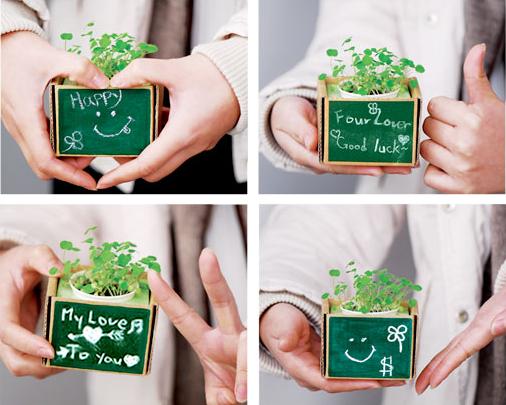 quà tặng cây xanh