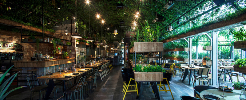 lựa chọn cây xanh cho quán cà phê