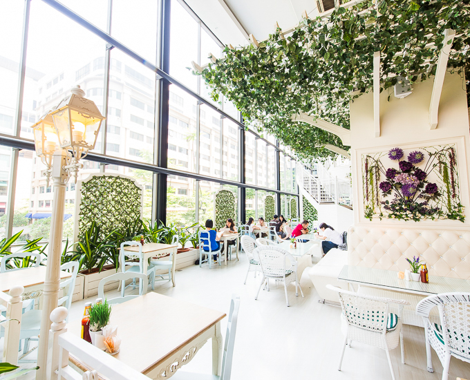 cây thường xuân