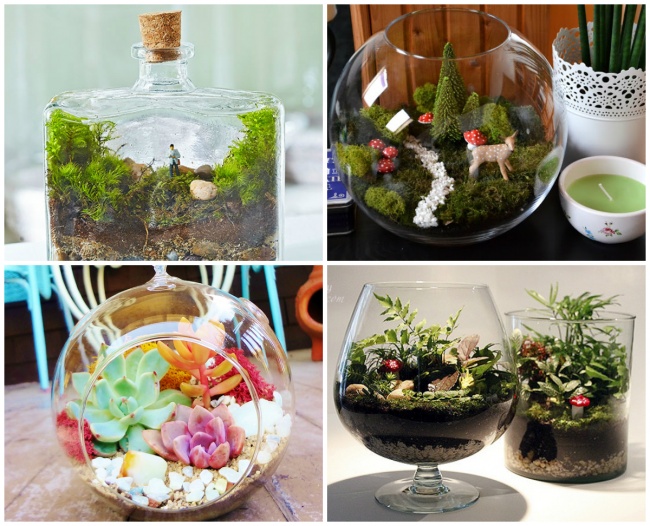 các loại terrarium