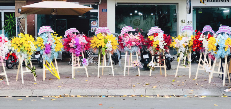 ý nghĩa hoa khai trương