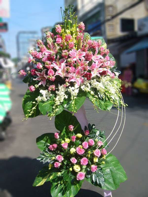 hoa khai trương giá rẻ