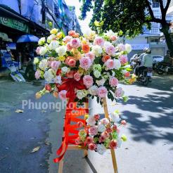 Hoa khai trương tương lai tươi sáng