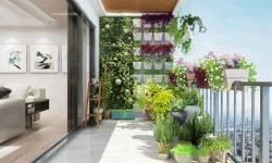 Dịch vụ thiết kế trang trí ban công cây xanh chung cư