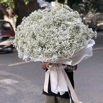 SN103 Bi nhập khẩu
