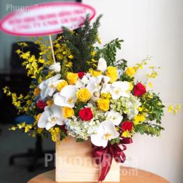 Lẵng hoa Sinh nhật Hoa Lan kết hợp Hoa hồng, Cẩm tú cầu