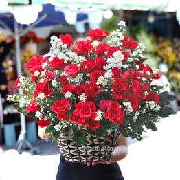 Hoa SN tình yêu màu nắng