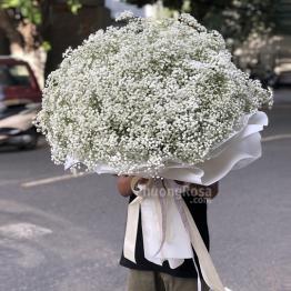 SN103 Bi nhập khẩu