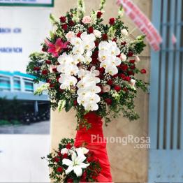 Hoa khai trương đại lợi