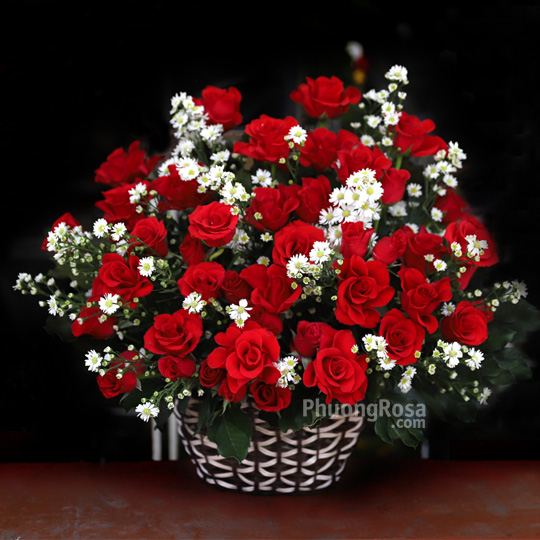 Thumb Hoa SN tình yêu màu nắng