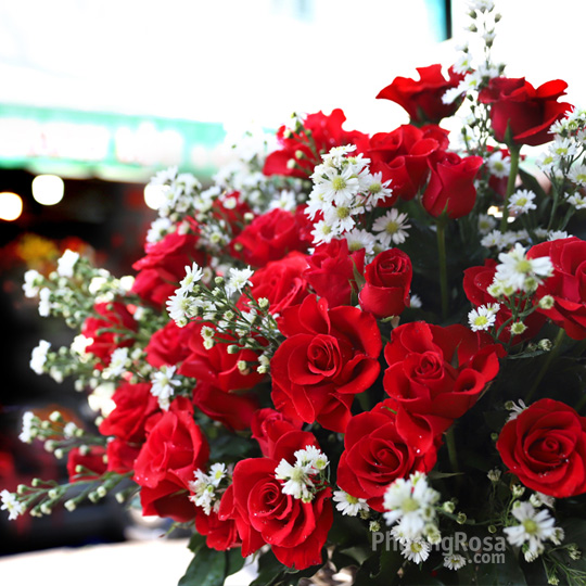 Thumb Hoa SN tình yêu màu nắng